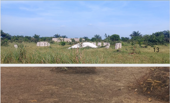  Immobilier (vente de parcelles)